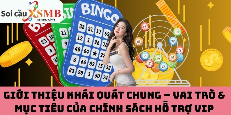 Giới thiệu khái quát chung – Vai trò & mục tiêu của chính sách hỗ trợ VIP