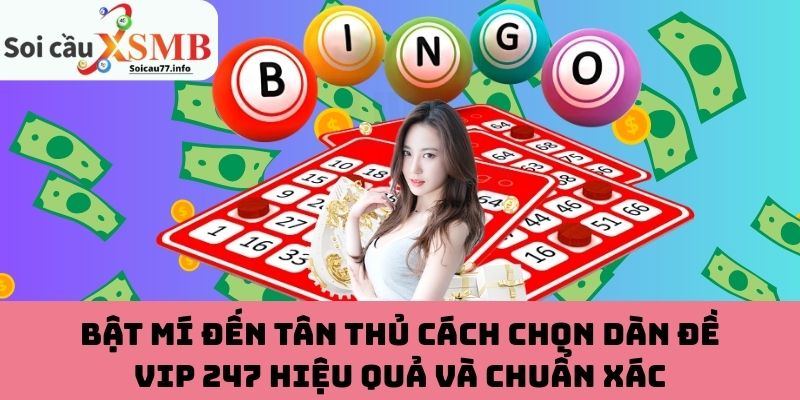 Bật mí đến tân thủ cách chọn dàn đề VIP 247 hiệu quả và chuẩn xác