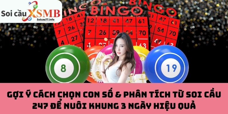 Gợi ý cách chọn con số & phân tích từ Soi Cầu 247 để nuôi khung 3 ngày hiệu quả