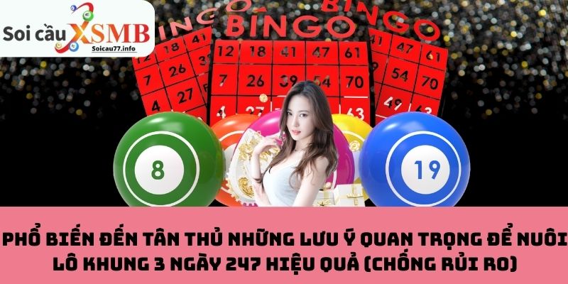 Phổ biến đến tân thủ những lưu ý quan trọng để nuôi lô khung 3 ngày 247 hiệu quả (chống rủi ro)
