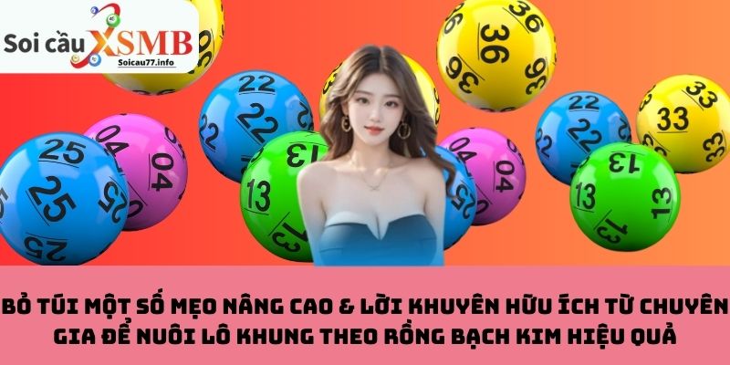 Mẹo nâng cao & lời khuyên để nuôi lô khung theo Rồng Bạch Kim hiệu quả