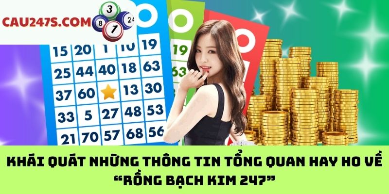 Khái quát những thông tin tổng quan hay ho về “Rồng Bạch Kim 247”