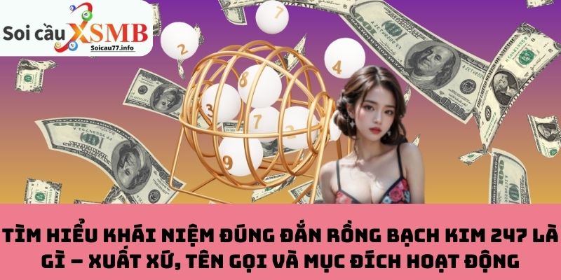Rồng Bạch Kim 247 là gì – Xuất xứ, tên gọi và mục đích hoạt động