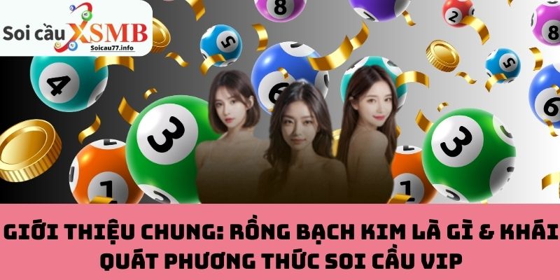 Rồng Bạch Kim là gì & khái quát về soi cầu VIP