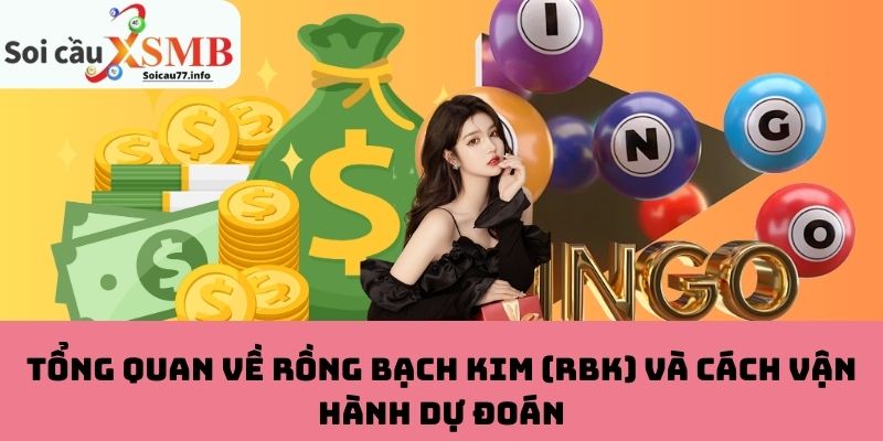 Tổng quan Rồng Bạch Kim và cách vận hành