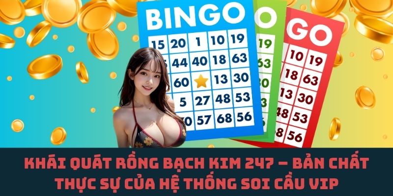 Tìm hiểu Rồng Bạch Kim 247 – Bản chất cốt lõi của hệ thống soi cầu VIP