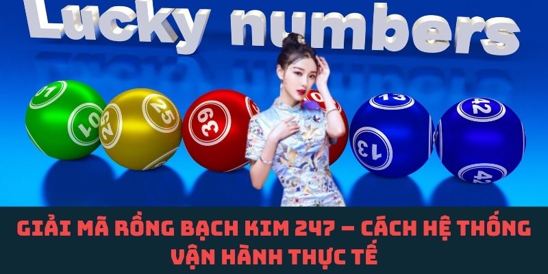 Rồng Bạch Kim 247 vận hành ra sao? Sự thật khiến nhiều người bất ngờ